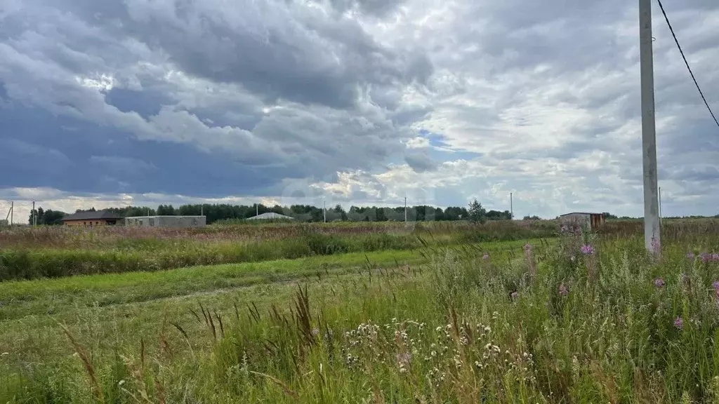 Участок в Тюменская область, Тюменский муниципальный округ, с. Борки  ... - Фото 1