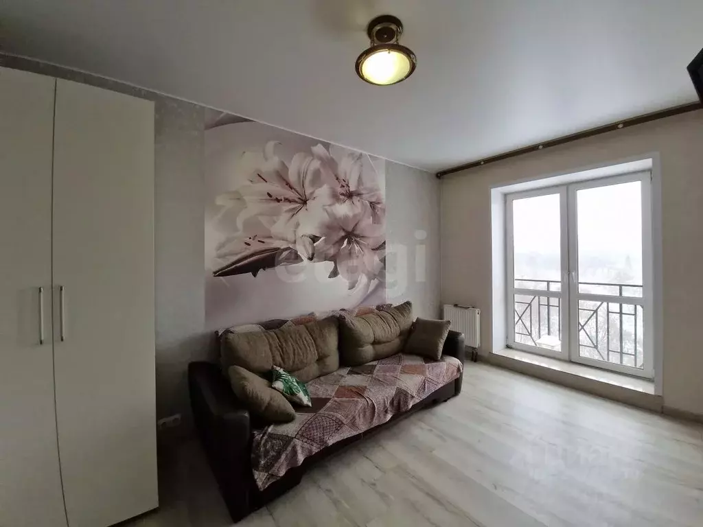 Студия Московская область, Дмитров ул. Спасская, 6А (29.3 м) - Фото 1