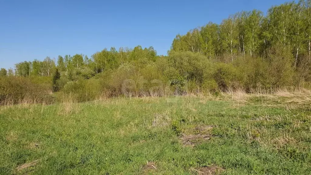 Участок в Кемеровская область, Кемерово пос. Комиссарово, ул. ... - Фото 1