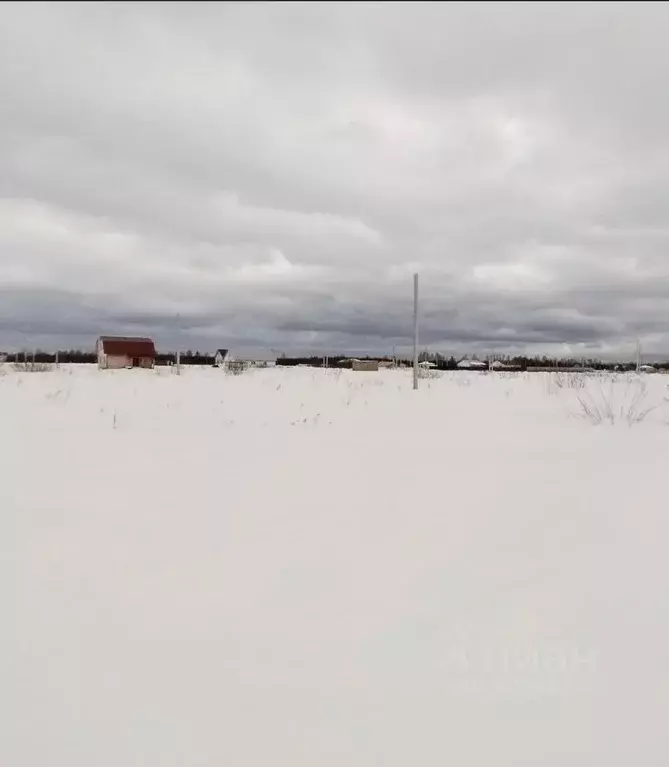 Участок в Костромская область, Кострома Первый кп, проезд Даниловский, ... - Фото 1