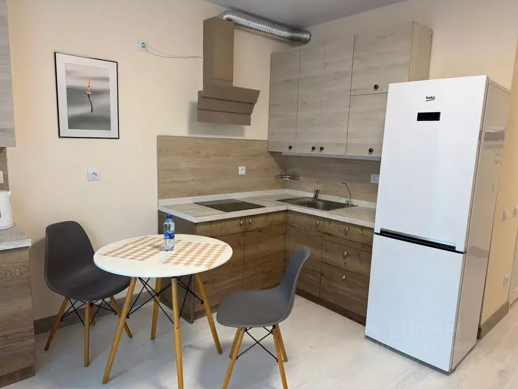 Студия Ленинградская область, Тосненский район, Федоровское городское ... - Фото 1