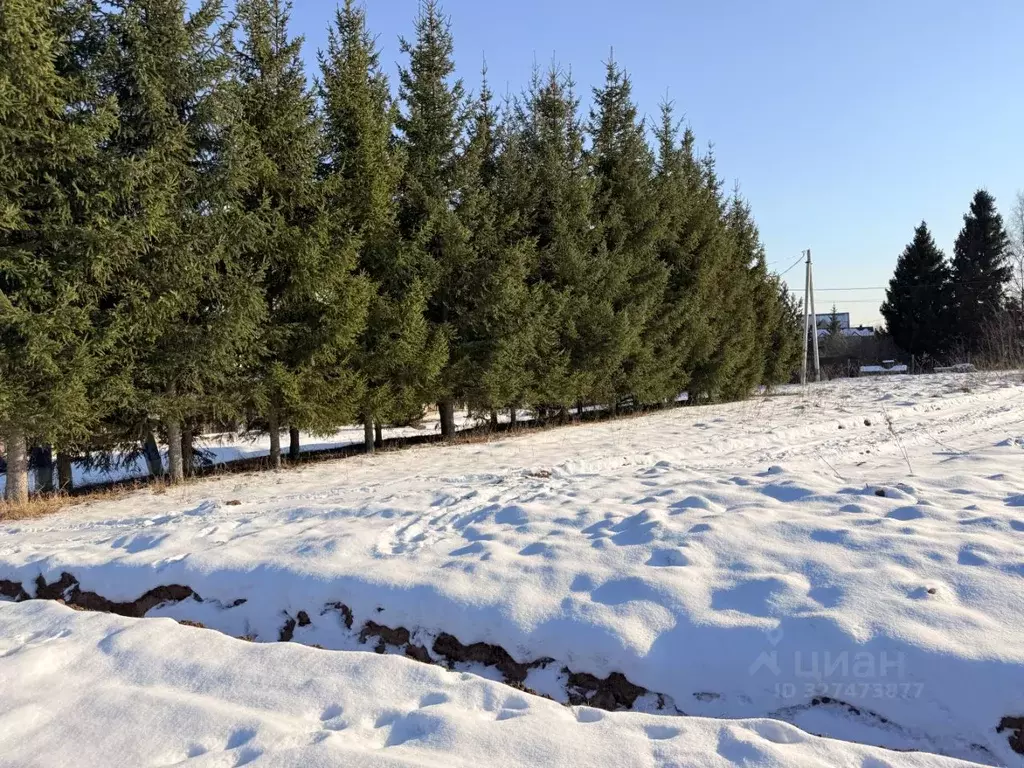 Участок в Московская область, Дмитровский муниципальный округ, д. ... - Фото 1