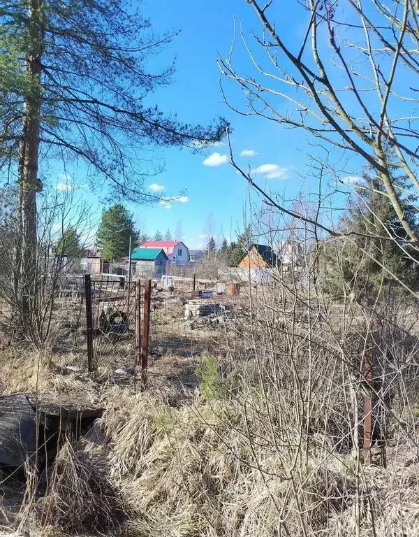 Участок в Ленинградская область, Кировское городское поселение, ... - Фото 1