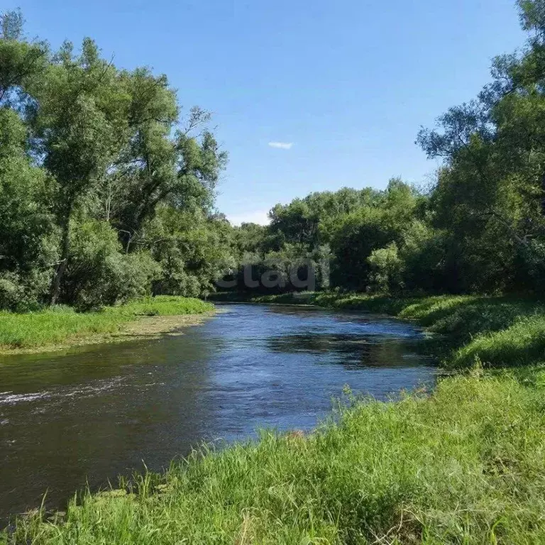 Участок в Воронежская область, Хохольский район, Новогремяченское ... - Фото 1