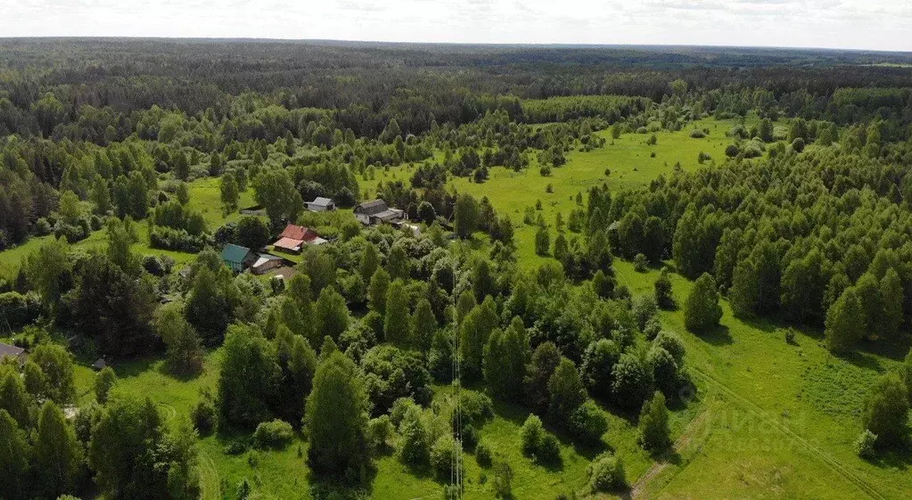 Участок в Нижегородская область, Чкаловск муниципальный округ, д. ... - Фото 0