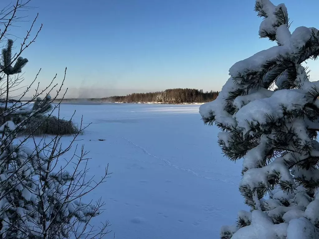 Участок в Ленинградская область, Лодейное поле  (22.0 сот.) - Фото 0