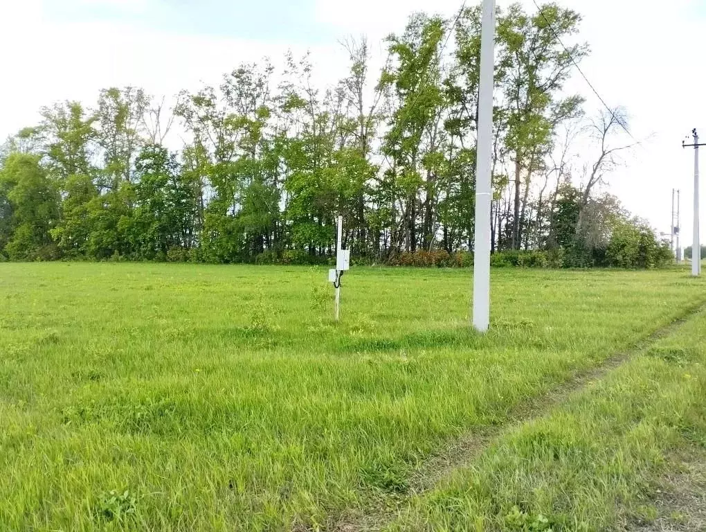 Участок в Тульская область, Тула городской округ, д. Лутовиново  (15.0 ... - Фото 1