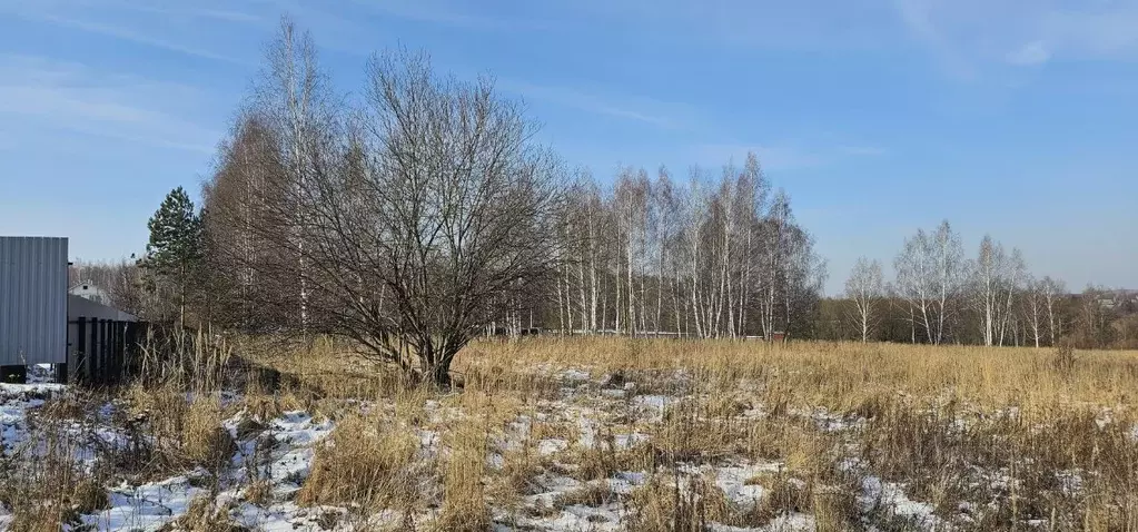 Участок в Московская область, Луховицы ул. Усадебная (24.0 сот.) - Фото 0
