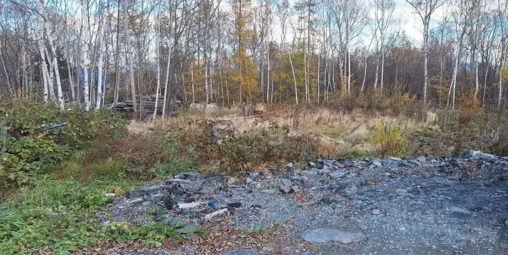 Участок в Сахалинская область, Южно-Сахалинск Мечта СНТ, ул. 5-я (11.0 ... - Фото 2