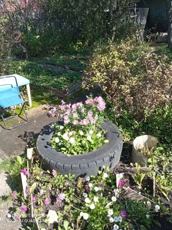 Участок в Челябинская область, Челябинск Искра садовое товарищество,  ... - Фото 1