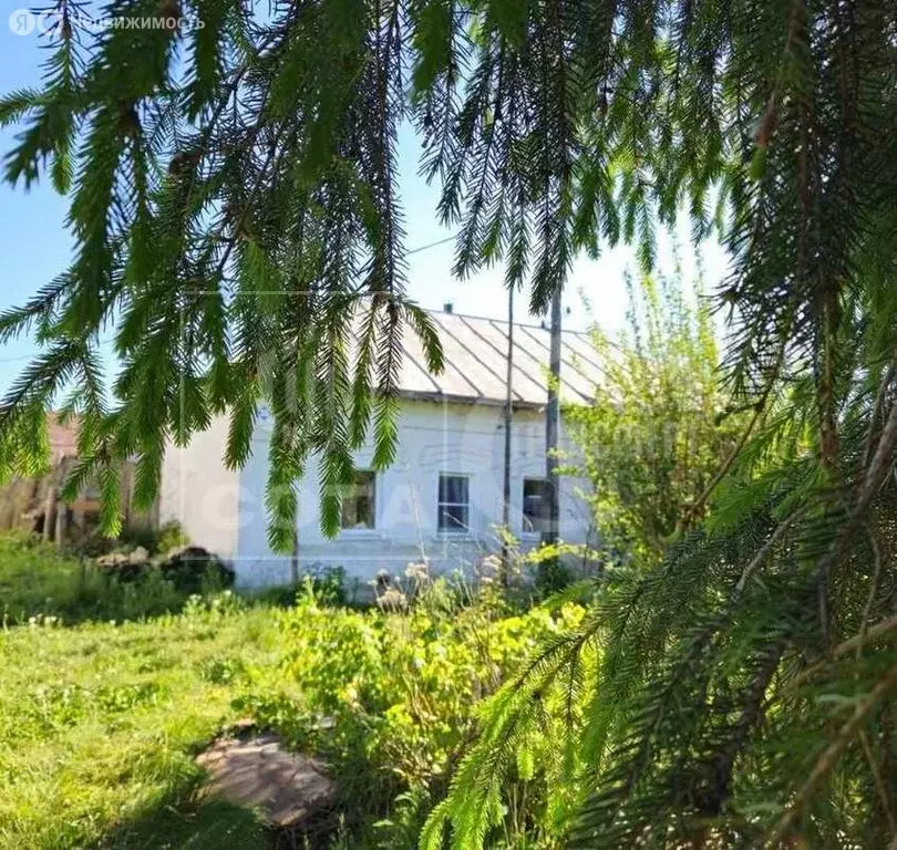 Дом в Ранино, Социалистическая улица, 26 (65 м) - Фото 1
