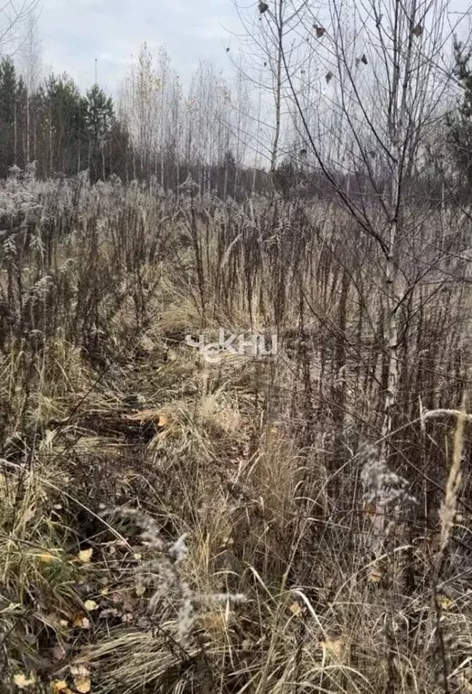 Участок в Нижегородская область, с. Безводное  (10.0 сот.) - Фото 2