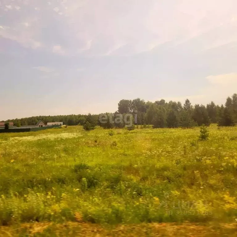 Участок в Владимирская область, Муром д. Коржавино, ул. Лесная, 8 ... - Фото 1