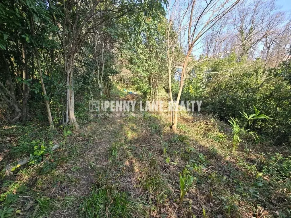 Участок в Краснодарский край, Сочи Суздальская ул., 3 (9.0 сот.) - Фото 2