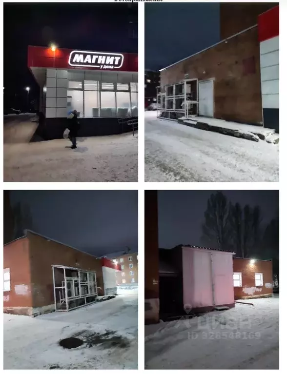 Помещение свободного назначения в Удмуртия, Сарапул пос. Южный, ул. ... - Фото 1