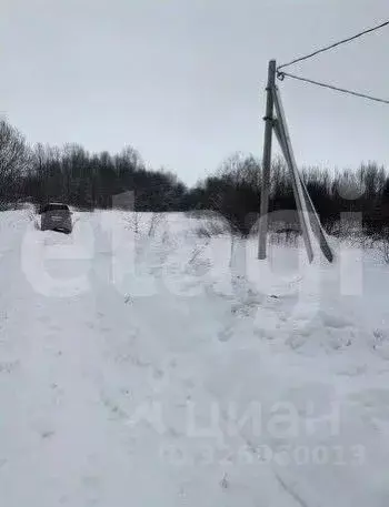 Участок в Пермский край, Пермский муниципальный округ, д. Заозерье ... - Фото 2