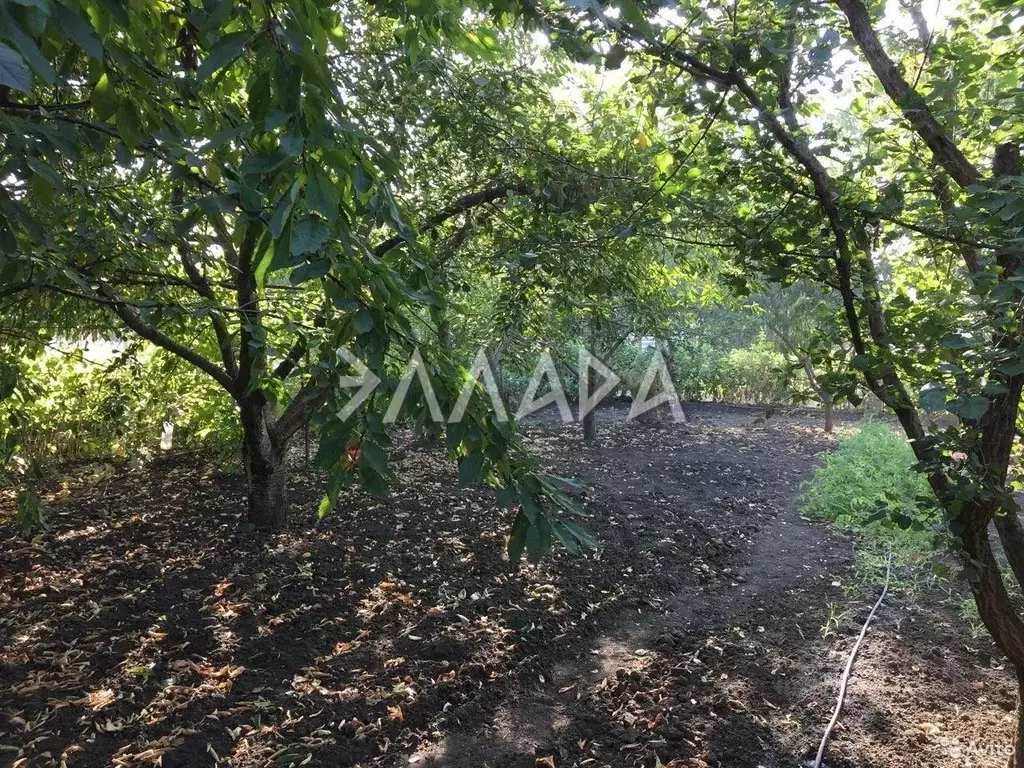 Участок в Ростовская область, Ростов-на-Дону 2-я Часовая ул. (6.0 ... - Фото 1