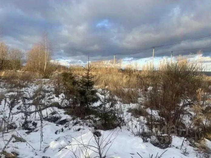 Участок в Московская область, Серпухов городской округ, с. Липицы  ... - Фото 0