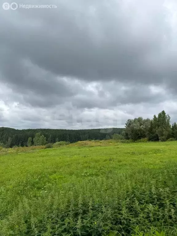 Участок в Молодёжный, микрорайон Рублёво-Медвенское (22.66 м) - Фото 1