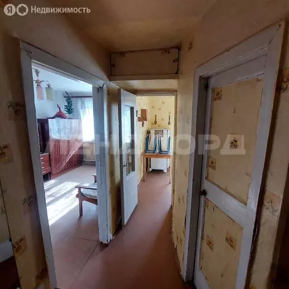 1-комнатная квартира: Новочеркасск, Будённовская улица, 189 (29 м) - Фото 1