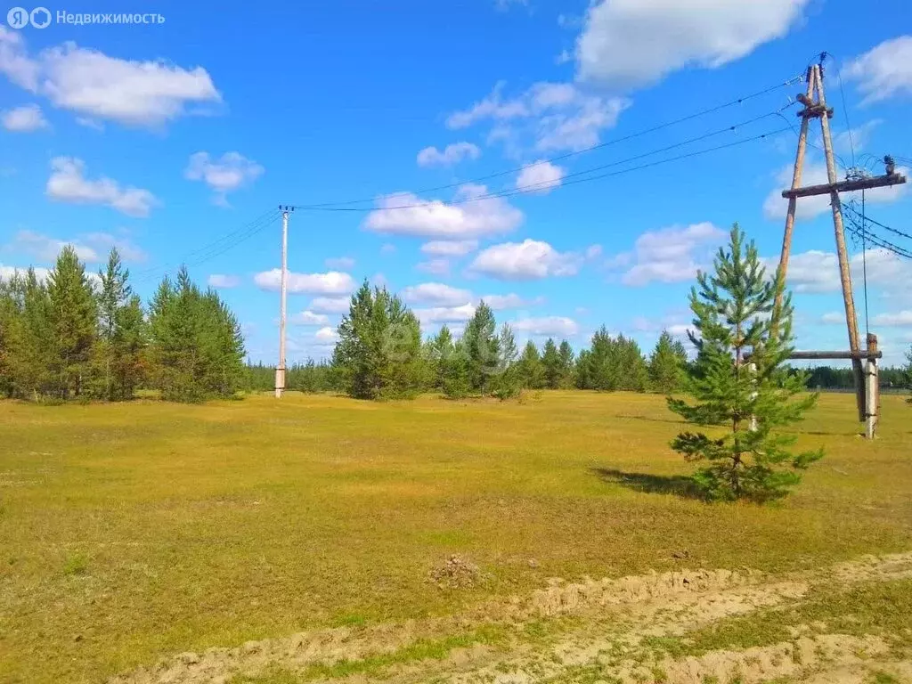 Участок в Республика Саха (Якутия), Мегино-Кангаласский улус, село ... - Фото 1