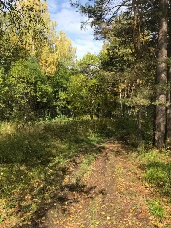 Участок в Свердловская область, Ревда муниципальный округ, с. Кунгурка ... - Фото 1