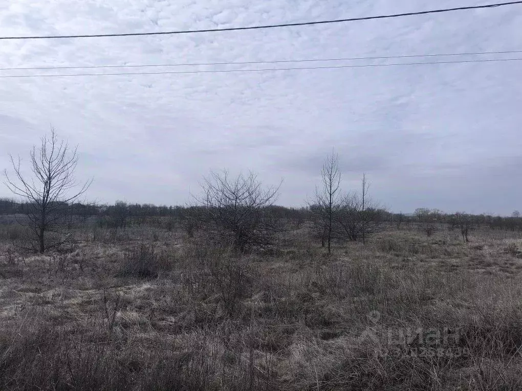 Участок в Белгородская область, Алексеевка Нижняя ул. (15.0 сот.) - Фото 1