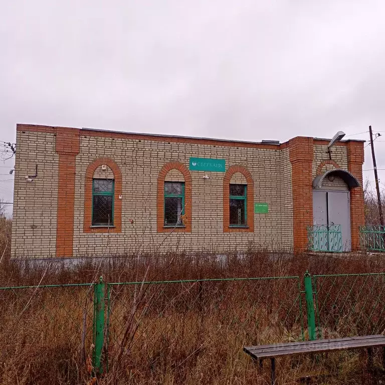 Помещение свободного назначения в Пензенская область, Пачелмский ... - Фото 1