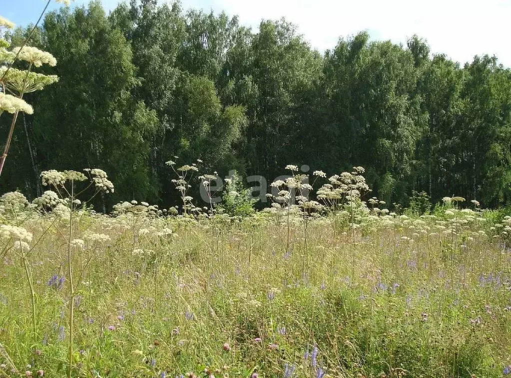Участок в Московская область, Наро-Фоминский городской округ, д. ... - Фото 2