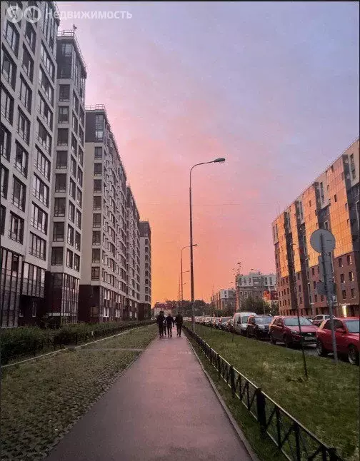 Квартира-студия: Санкт-Петербург, проспект Ветеранов, 171к5 (24 м) - Фото 1