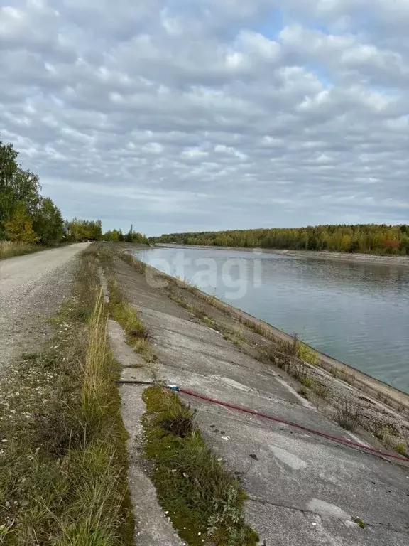 Дом в Пермский край, Добрянка Канал садовые участки, ул. Цветочная (25 ... - Фото 2