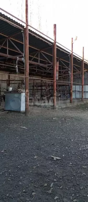 Участок 6 сот. (СНТ, ДНП) - Фото 0