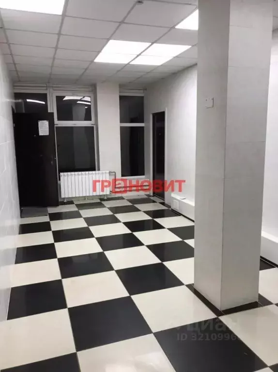 Помещение свободного назначения в Новосибирская область, Новосибирск ... - Фото 0