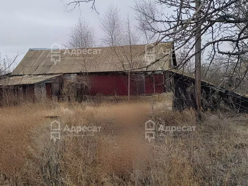 Дом в Волгоградская область, Городищенский район, Карповское с/пос, ... - Фото 1