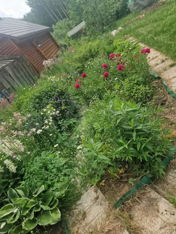 Дом 70 м на участке 39 сот. - Фото 1