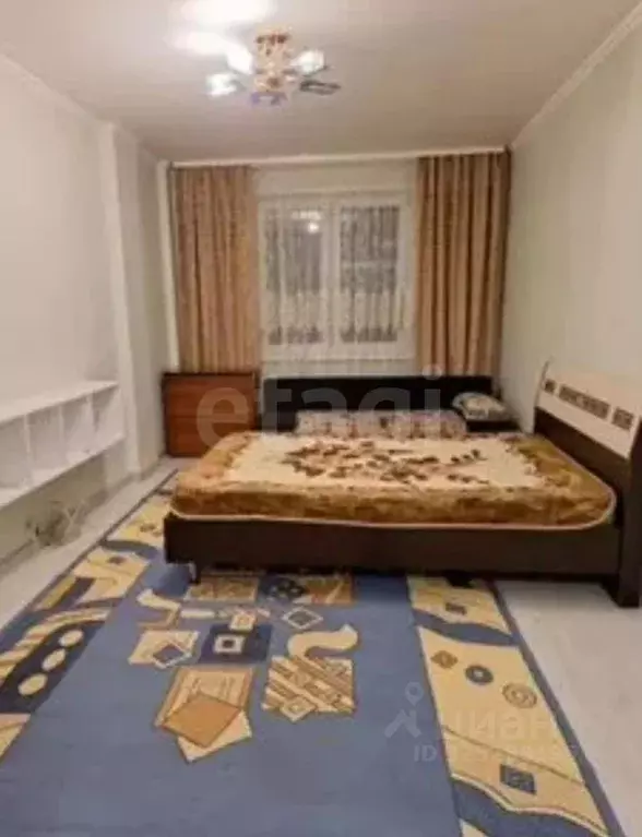 1-к кв. Красноярский край, Красноярск Соколовская ул., 70 (24.8 м) - Фото 2