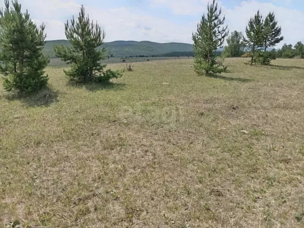 Участок в Иркутская область, Ольхонский район, Еланцынское ... - Фото 1