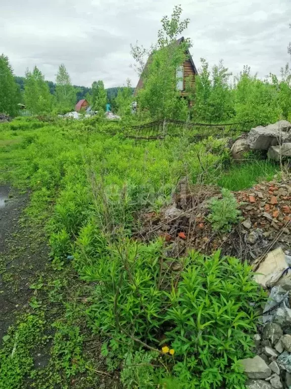 Участок в Кемеровская область, Мыски пос. Карчит, ул. Чайковского ... - Фото 1