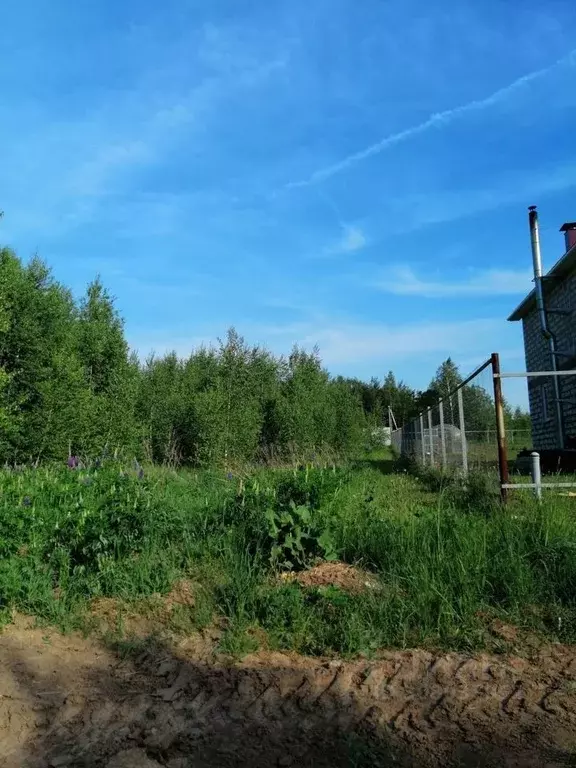 Участок в Нижегородская область, Богородский муниципальный округ, с. ... - Фото 1