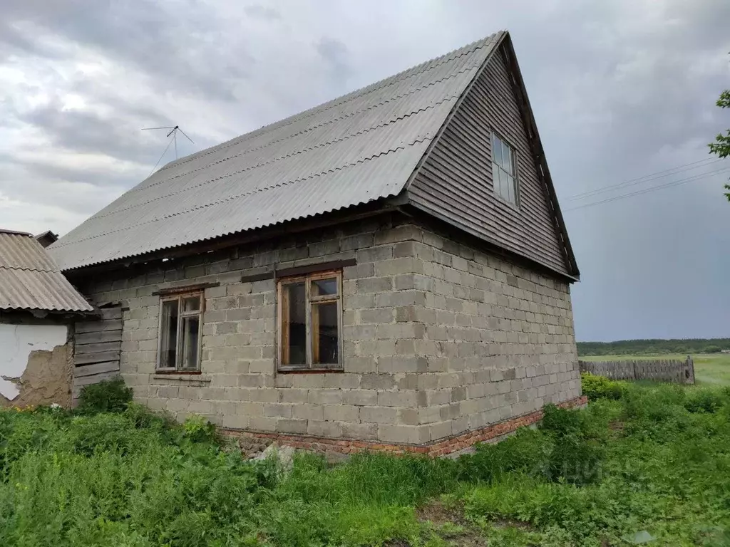 Дом в Алтайский край, Павловский район, с. Черемное ул. Дружбы, 22 (88 ... - Фото 1
