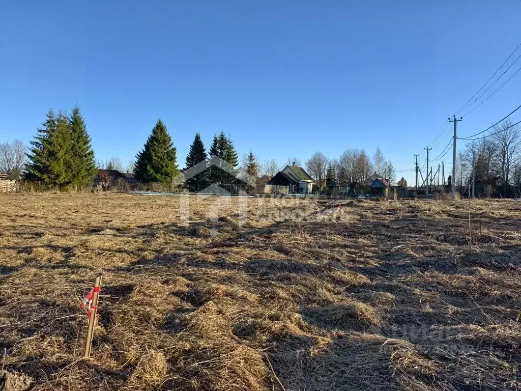 Участок в Ленинградская область, Ломоносовский район, Лопухинское ... - Фото 2