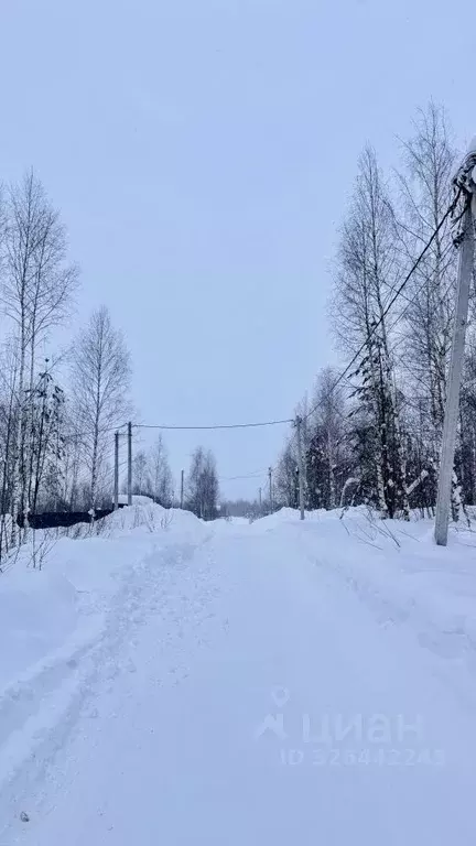 Участок в Нижегородская область, Нижний Новгород д. Кривая Шелокша,  ... - Фото 1