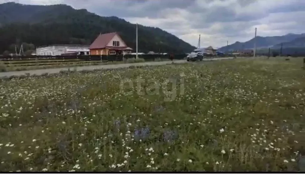 Участок в Алтай, Чемальский район, Узнезинское с/пос, с. Узнезя  ... - Фото 1