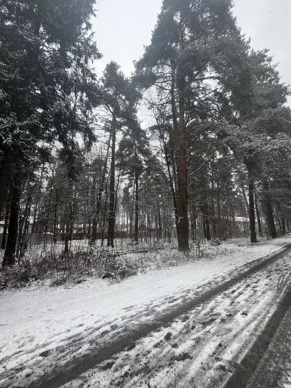Участок в Московская область, Пушкинский городской округ, с. Тарасовка ... - Фото 1