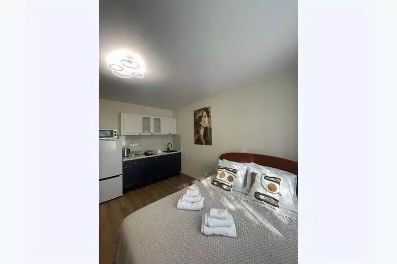 1-к кв. Москва ул. Милашенкова, 12В (24.0 м) - Фото 2