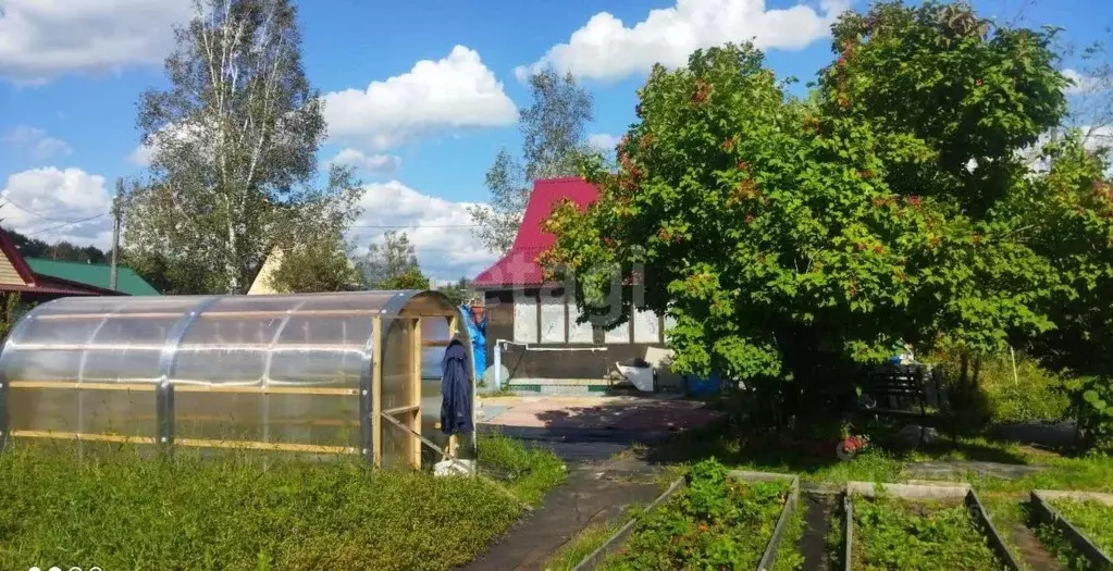 Дом в Сахалинская область, Южно-Сахалинск Ромашка СНТ, ул. Яблочная, ... - Фото 1