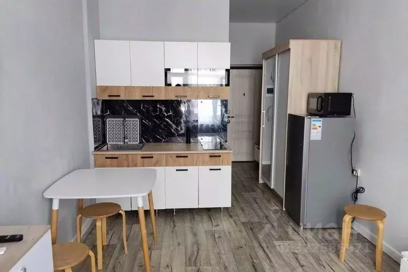 1-к кв. Краснодарский край, Сочи ул. Ленина, 290/6 (20.0 м) - Фото 2