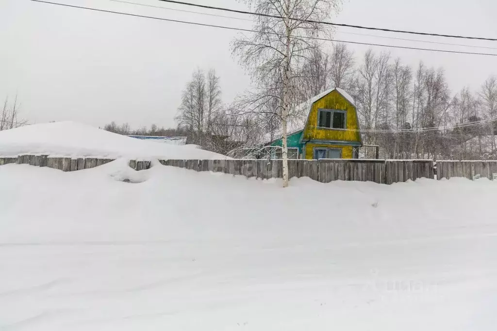 Участок в Ханты-Мансийский АО, Сургут Ягодное СОК,  (5.8 сот.) - Фото 0