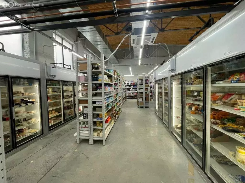 Помещение свободного назначения (517.27 м) - Фото 1