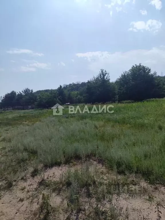 Участок в Воронежская область, Рамонский район, Березовское с/пос, д. ... - Фото 2